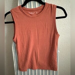 Abercrombie Crop Top
